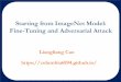 Starting from ImageNet Model: Fine-Tuning and Adversarial 