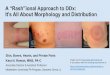 A “Rash”ional Approach to DDx: It’s All About Morphology 
