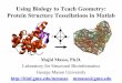 Using Biology to Teach Geometry: Protein Structure 