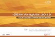 GEM ANGOLA 2013 - web2.spi.pt